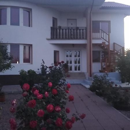 Hotel Casa Doina Douăzeci şi Trei August Esterno foto