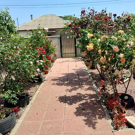 Hotel Casa Doina Douăzeci şi Trei August Esterno foto