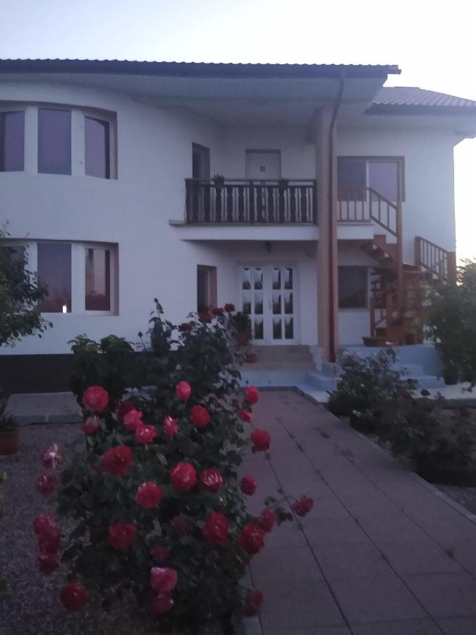 Hotel Casa Doina Douăzeci şi Trei August Esterno foto