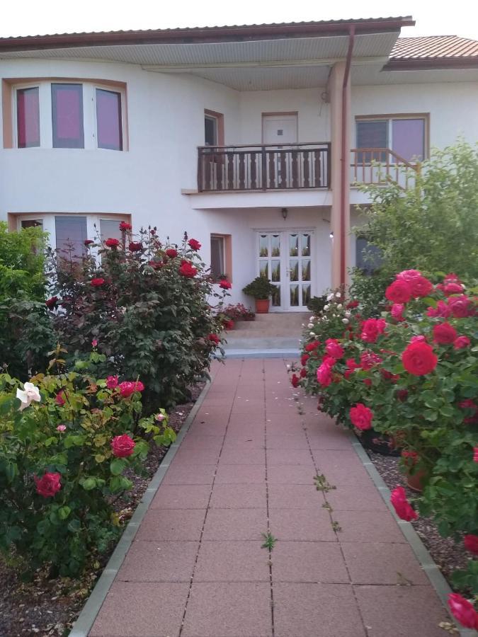 Hotel Casa Doina Douăzeci şi Trei August Esterno foto
