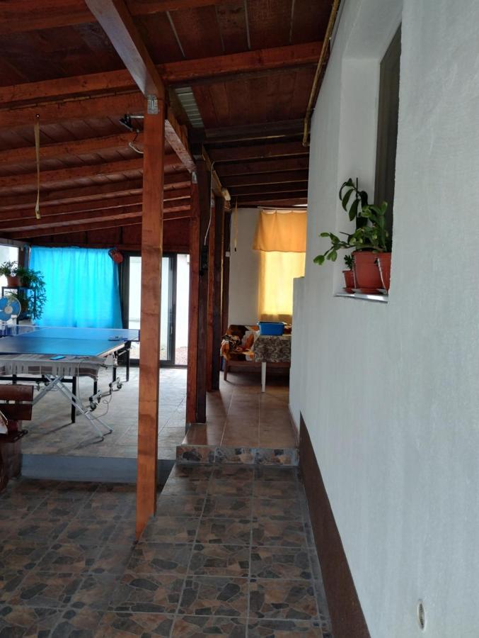 Hotel Casa Doina Douăzeci şi Trei August Esterno foto