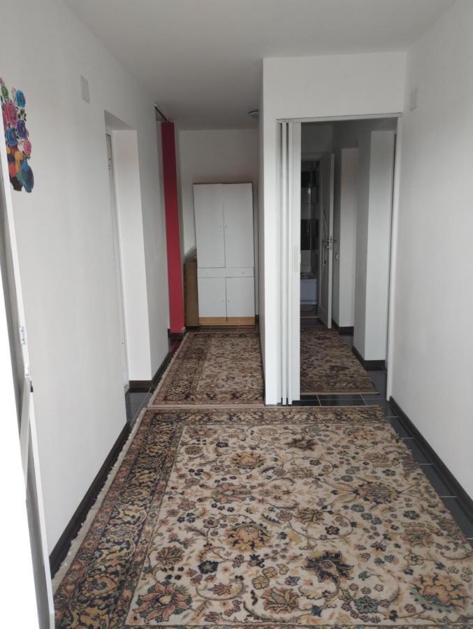 Hotel Casa Doina Douăzeci şi Trei August Esterno foto