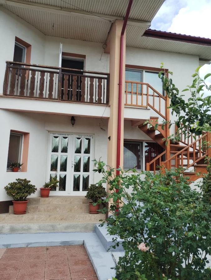 Hotel Casa Doina Douăzeci şi Trei August Esterno foto