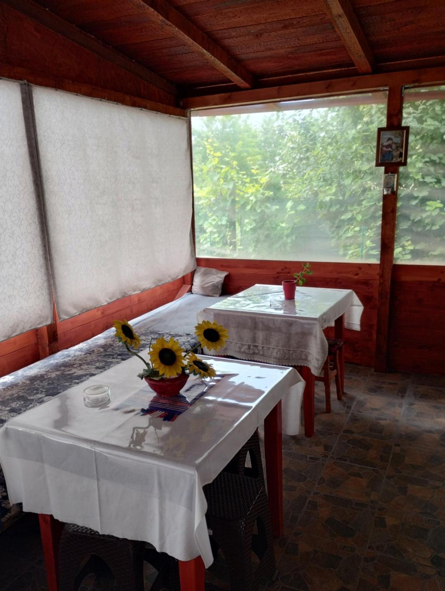 Hotel Casa Doina Douăzeci şi Trei August Esterno foto