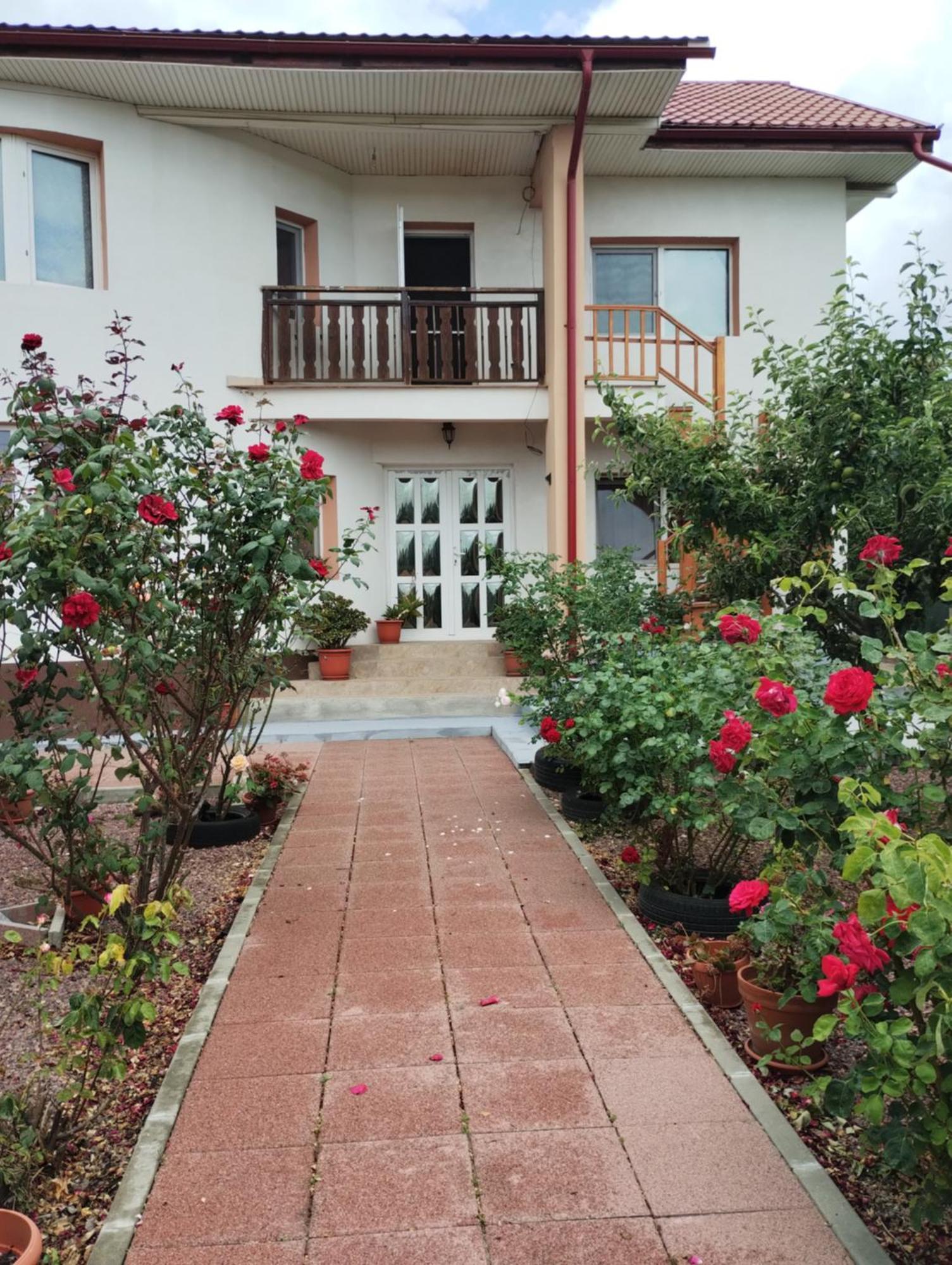 Hotel Casa Doina Douăzeci şi Trei August Esterno foto